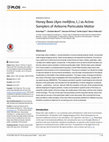 Research paper thumbnail of Honey Bees (Apis mellifera, L.) as Active Samplers of Airborne Particulate Matter