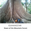 Research paper thumbnail of Dawn of the Mountain Forest