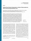 Research paper thumbnail of Cellular Prion Protein Is Expressed in a Subset of Neuroendocrine Cells of the Rat Gastrointestinal Tract