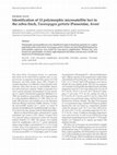 Research paper thumbnail of Identification of 13 polymorphic microsatellite loci in the zebra finch, Taeniopygia guttata (Passeridae, Aves)