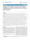 Research paper thumbnail of Evolution of a cluster of innate immune genes (β-defensins) along the ancestral lines of chicken and zebra finch