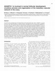 Research paper thumbnail of ADAMTS-1 is involved in normal follicular development, ovulatory process and organization of the medullary vascular network in the ovary