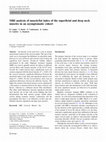 Research paper thumbnail of MRI analysis of muscle/fat index of the superficial and deep neck muscles in an asymptomatic cohort