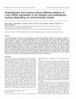 Research paper thumbnail of Amphetamine and cocaine induce different patterns of c-fos mRNA expression in the striatum and subthalamic nucleus depending on environmental context