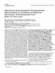 Research paper thumbnail of Neocortical and cerebellar developmental abnormalities in conditions of selective elimination of peroxisomes from brain or from liver