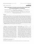 Research paper thumbnail of Short Communication. Effect of phosphorus nutrition and grain position within maize cob on grain phosphorus accumulation