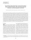 Research paper thumbnail of The Acellular Myocardial Flap; a Novel Extracellular Matrix Scaffold Enriched with Patent Microvascular Networks and Biocompatible Cell Niches