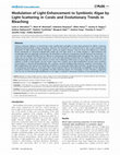 Research paper thumbnail of Modulation of Light-Enhancement to Symbiotic Algae by Light-Scattering in Corals and Evolutionary Trends in Bleaching