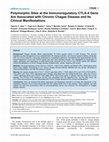 Research paper thumbnail of Polymorphic Sites at the Immunoregulatory CTLA-4 Gene Are Associated with Chronic Chagas Disease and Its Clinical Manifestations