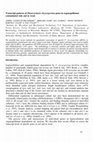 Research paper thumbnail of Transcript patterns of Phanerochaete chrysosporium genes in organopollutant contaminated soils and in wood