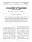 Research paper thumbnail of SSU rDNA analysis of Kudoa rosenbuschi (Myxosporea) from the Argentinean hake Merluccius hubbsi