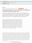 Research paper thumbnail of Large-scale genomics unveil polygenic architecture of human cortical surface area