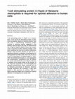 Research paper thumbnail of T-cell stimulating protein A (TspA) of Neisseria meningitidis is required for optimal adhesion to human cells