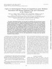 Research paper thumbnail of CapA, an Autotransporter Protein of Campylobacter jejuni, Mediates Association with Human Epithelial Cells and Colonization of the Chicken Gut