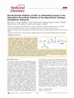 Research paper thumbnail of Non-Nucleoside Inhibitors of BasE, an Adenylating Enzyme in the Siderophore Biosynthetic Pathway of the Opportunistic Pathogen Acinetobacter baumannii