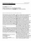 Research paper thumbnail of Xylose utilisation by recombinant strains of Saccharomyces cerevisiae on different carbon sources