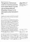 Research paper thumbnail of Pathogenicity of Actinomyces israelii and Arachnid propionica: experimental infection in guinea pigs and phagocytosis and intracellular killing by human polymorphonuclear leukocytes in vitro