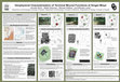 Research paper thumbnail of Geophysical Characterization of Terminal Mound Functions at Singer-Moye