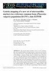 Research paper thumbnail of Genetic mapping of a new set of microsatellite markers in a reference common bean (Phaseolus vulgaris) population BAT93 x Jalo EEP558