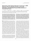 Research paper thumbnail of Expression of the Nuclear Receptor Coactivator, cAMP Response Element-Binding Protein, Is Sexually Dimorphic and Modulates Sexual Differentiation of Neonatal Rat Brain