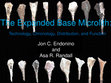 Research paper thumbnail of The Expanded Base Microlith: Technology, Chronology, Distribution, and Function