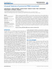 Research paper thumbnail of Unusual Long-Distance Movement Strategies of Potato mop-top virus RNAs in Nicotiana benthamiana