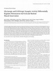 Research paper thumbnail of Glycinergic and GABAergic Synaptic Activity Differentially Regulate Motoneuron Survival and Skeletal Muscle Innervation