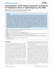 Research paper thumbnail of Autoregulation of RNA Helicase Expression in Response to Temperature Stress in Synechocystis sp. PCC 6803