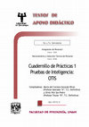 Research paper thumbnail of Pruebas de Inteligencia: OTIS - Gerardo Pérez - Vite San Pedro - TAD - 6° y 7° sem