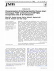 Research paper thumbnail of Characterisation of the newly identified human Ump1 homologue POMP and analysis of LMP7(β5i) incorporation into 20 S proteasomes