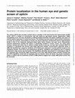 Research paper thumbnail of Protein localization in the human eye and genetic screen of opticin