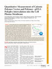 Research paper thumbnail of Quantitative Measurement of Cationic Polymer Vector and PolymerpDNA Polyplex Intercalation into the Cell Plasma Membrane