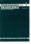 Research paper thumbnail of Rubin, R.S., Ioris, A.A.R. e Duarte, V. 1994. Rendimento e Reação de Variedades de Batata-Doce Inoculadas com Plenodomus destruens, Harter, Agente Causal do Mal-do-Pé [Yield and Reaction of Varieties of Sweet Potato Inoculated with Plenodomus destruens, Harter, Causal Agent of Foot Rot Disease], ...