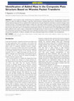 Research paper thumbnail of Identification of Added Mass in the Composite Plate Structure Based on WPT