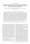 Research paper thumbnail of Identification of Bloodmeals in Wild Caught Blood Fed <I>Phlebotomus argentipes</I> (Diptera: Psychodidae) Using Cytochrome <I>b</I> PCR and Reverse Line Blotting in Bihar, India