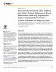 Research paper thumbnail of Electronically Monitored Labial Dabbing and Stylet 'Probing' Behaviors of Brown Marmorated Stink Bug, Halyomorpha halys, in Simulated Environments