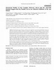 Research paper thumbnail of Structural Studies of the Complex Between Akt-in and the Akt 2-PH Domain Suggest that the Peptide Acts as an Allosteric Inhibitor of the Akt Kinase