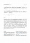 Research paper thumbnail of Preventive and therapeutic administration of an indigenous Lactobacillus sp. strain against Proteus mirabilis ascending urinary tract infection in a mouse model