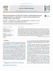 Research paper thumbnail of Effective biosynthesis of ethyl (R)-4-chloro-3-hydroxybutanoate by supplementation of l-glutamine, d-xylose and β-cyclodextrin in n-butyl acetate-water media