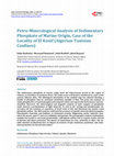 Research paper thumbnail of Petro-Mineralogical Analysis of Sedimentary Phosphate of Marine Origin, Case of the Locality of El Kouif (Algerian-Tunisian Confines)