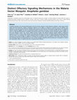 Research paper thumbnail of Distinct Olfactory Signaling Mechanisms in the Malaria Vector Mosquito Anopheles gambiae