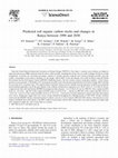 Research paper thumbnail of Predicted soil organic carbon stocks and changes in Kenya between 1990 and 2030