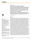 Research paper thumbnail of Next Generation Sequencing and Transcriptome Analysis Predicts Biosynthetic Pathway of Sennosides from Senna (Cassia angustifolia Vahl.), a Non-Model Plant with Potent Laxative Properties