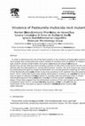 Research paper thumbnail of Virulence of Pasteurella multocida recA mutants