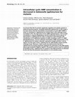 Research paper thumbnail of Intracellular cyclic AMP concentration is decreased in Salmonella typhimurium fur mutants