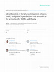 Research paper thumbnail of Identification of the phosphorylation sites on the E3 ubiquitin ligase Pellino that are critical for activation by IRAK1 and IRAK4