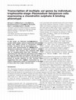 Research paper thumbnail of Transcription of multiple var genes by individual, trophozoite-stage Plasmodium falciparum cells expressing a chondroitin sulphate A binding phenotype