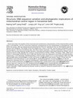 Research paper thumbnail of Structure, DNA sequence variation and phylogenetic implications of the mitochondrial control region in horseshoe bats