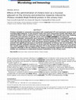 Research paper thumbnail of Effects of the administration of cholera toxin as a mucosal adjuvant on the immune and protective response induced by Proteus mirabilis MrpA fimbrial protein in the urinary tract