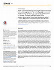 Research paper thumbnail of Next Generation Sequencing Analysis Reveals Segmental Patterns of microRNA Expression in Mouse Epididymal Epithelial Cells